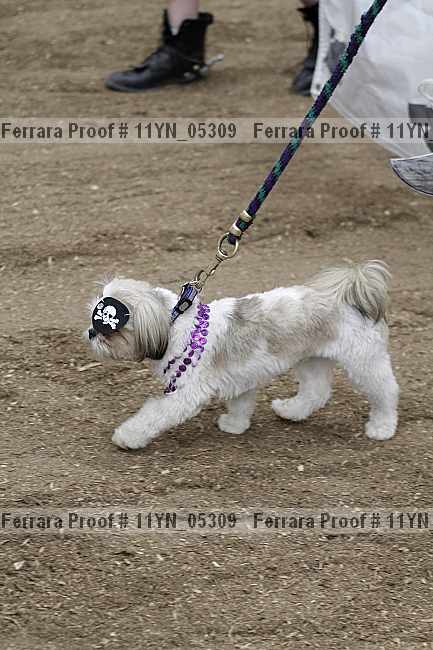 Proof 11yn_05309
