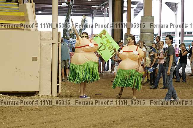 Proof 11yn_05315