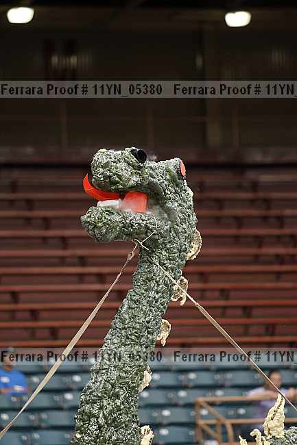Proof 11yn_05380
