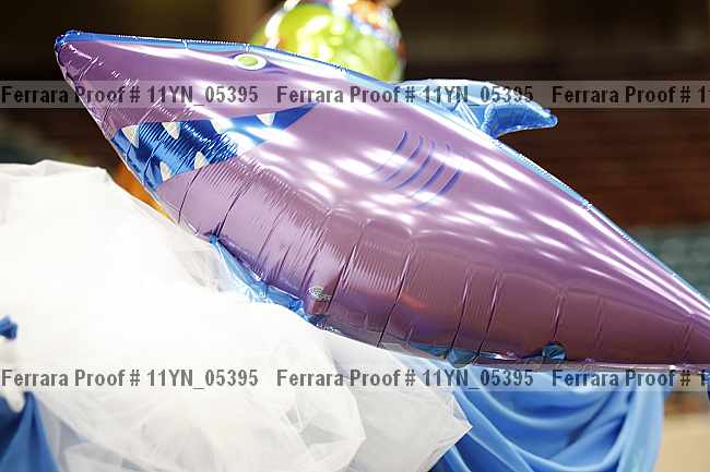 Proof 11yn_05395