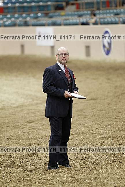 Proof 11yn_01171