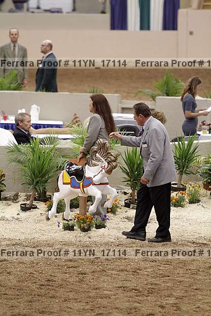 Proof 11yn_17114