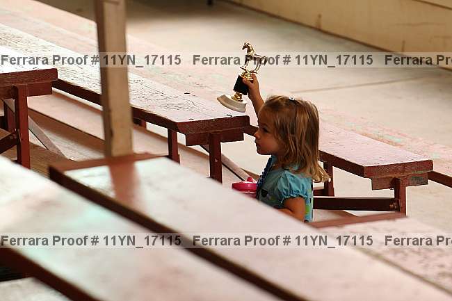 Proof 11yn_17115