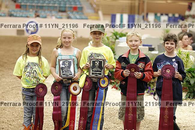 Proof 11yn_21196