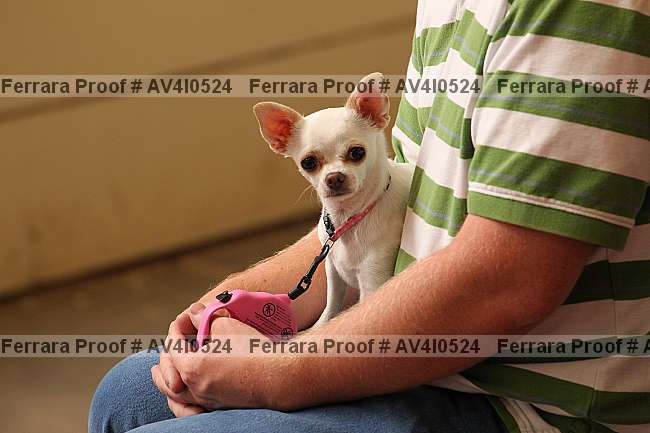 Proof av4i0524