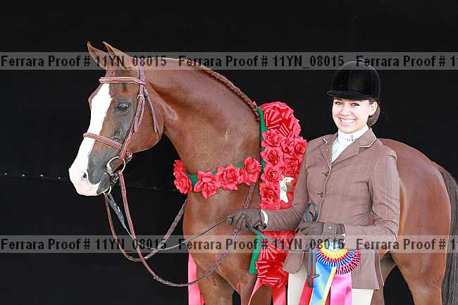 Proof 11yn_08015