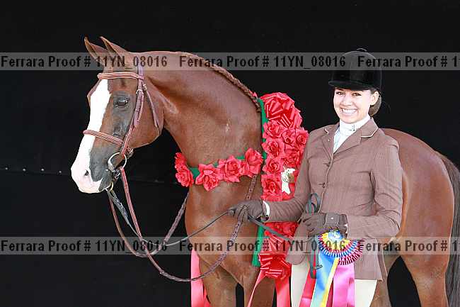 Proof 11yn_08016