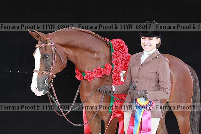 Proof 11yn_08017