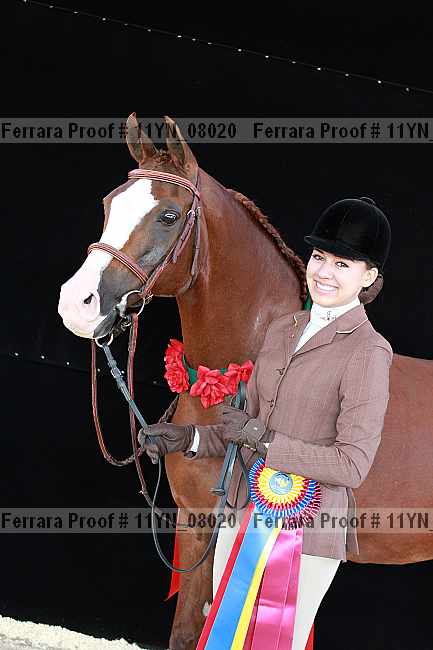 Proof 11yn_08020