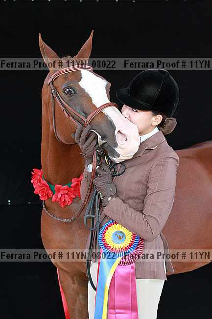 Proof 11yn_08022