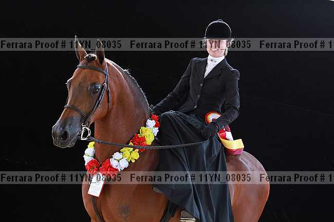 Proof 11yn_08035