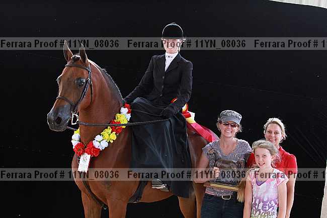 Proof 11yn_08036