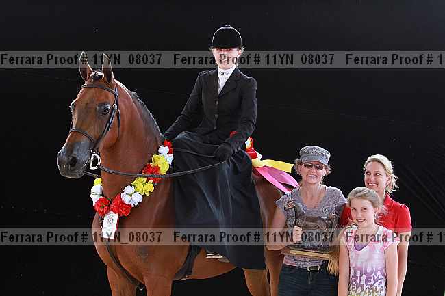 Proof 11yn_08037