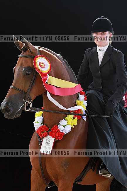 Proof 11yn_08056