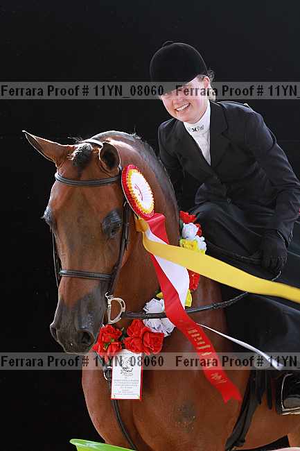 Proof 11yn_08060