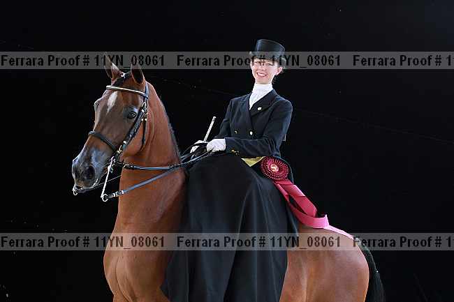 Proof 11yn_08061