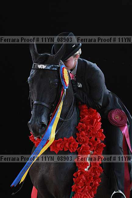 Proof 11yn_08903