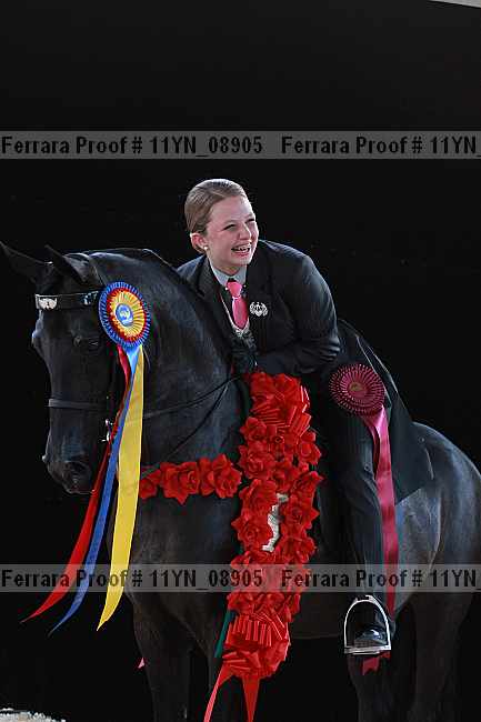 Proof 11yn_08905