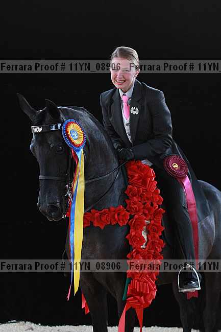 Proof 11yn_08906