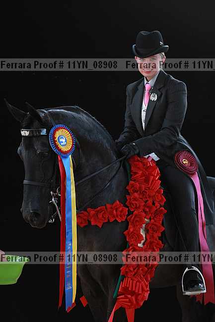 Proof 11yn_08908