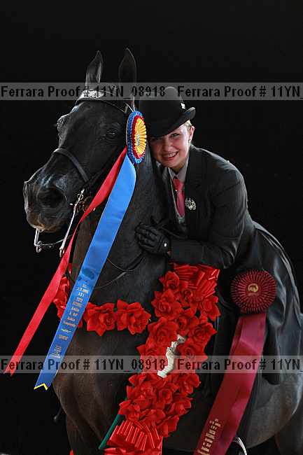 Proof 11yn_08918