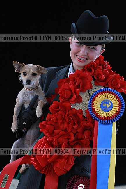 Proof 11yn_08954
