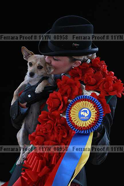 Proof 11yn_08958