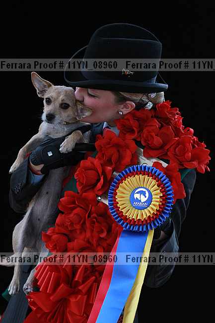 Proof 11yn_08960