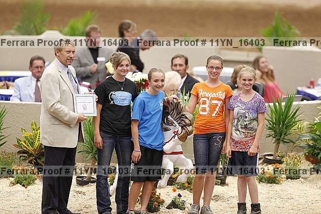 Proof 11yn_16403