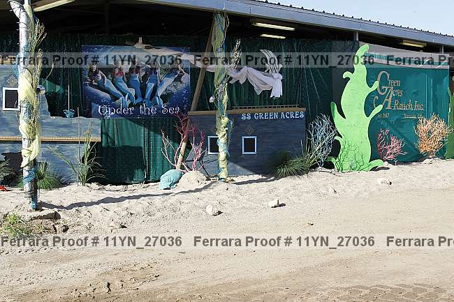 Proof 11yn_27036