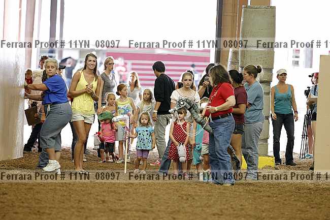 Proof 11yn_08097