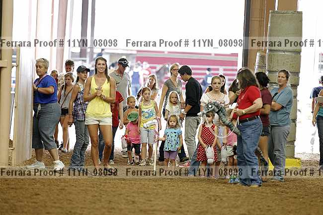 Proof 11yn_08098