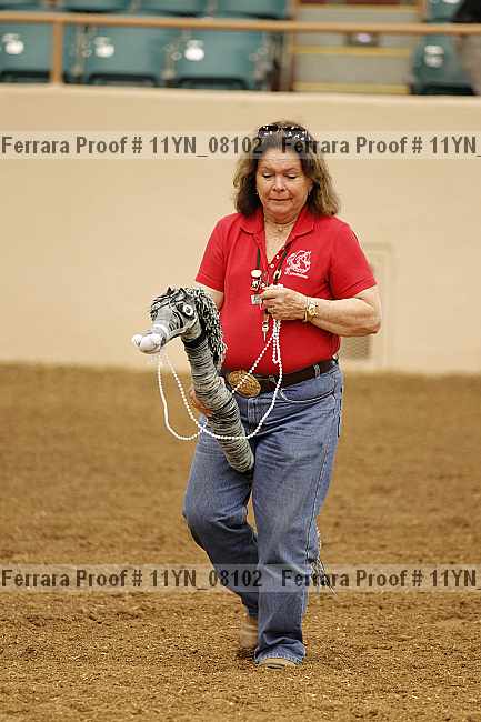 Proof 11yn_08102