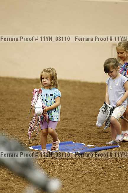 Proof 11yn_08110
