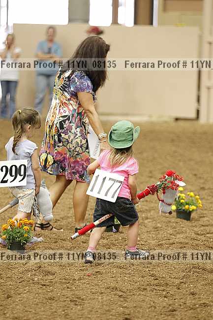 Proof 11yn_08135
