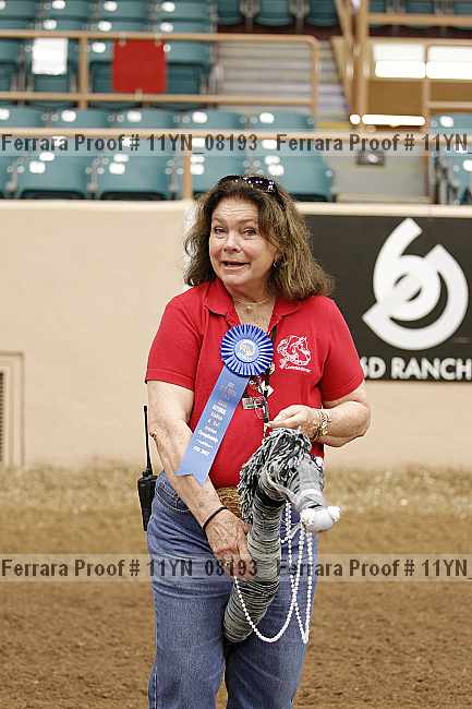 Proof 11yn_08193