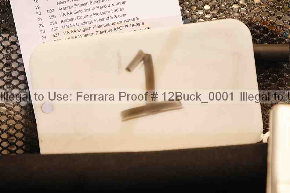 Proof 12buck_0001