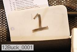 12buck_0001 proof