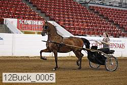 12buck_0005 proof