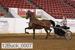 12buck_0007 proof