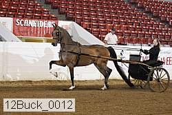 12buck_0012 proof