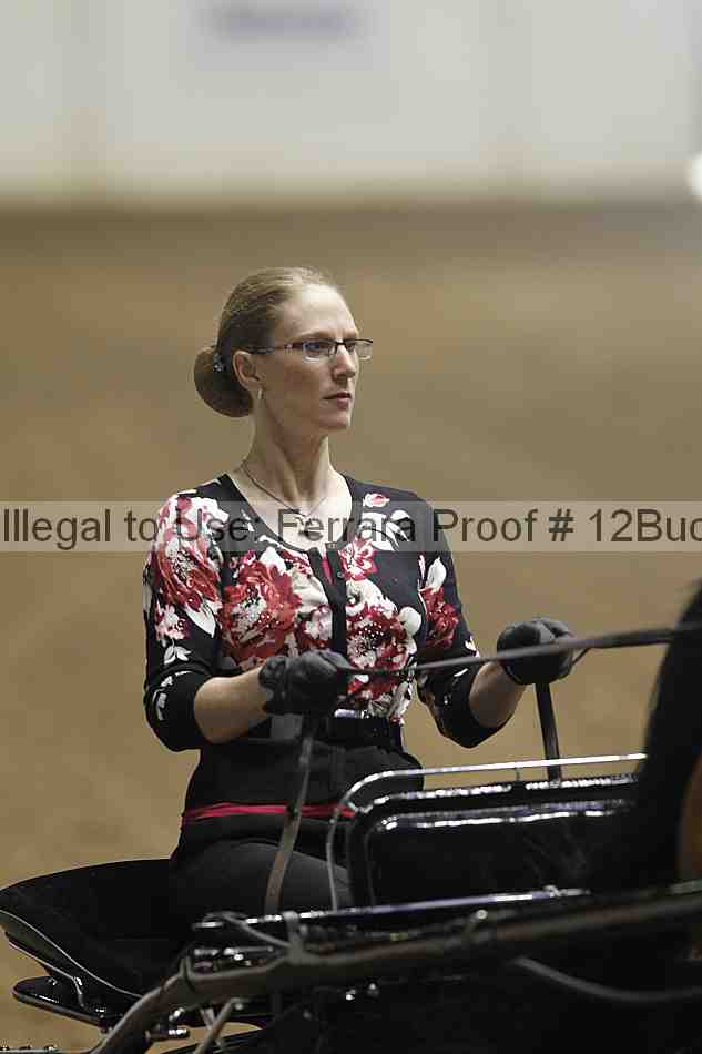 Proof 12buck_0013