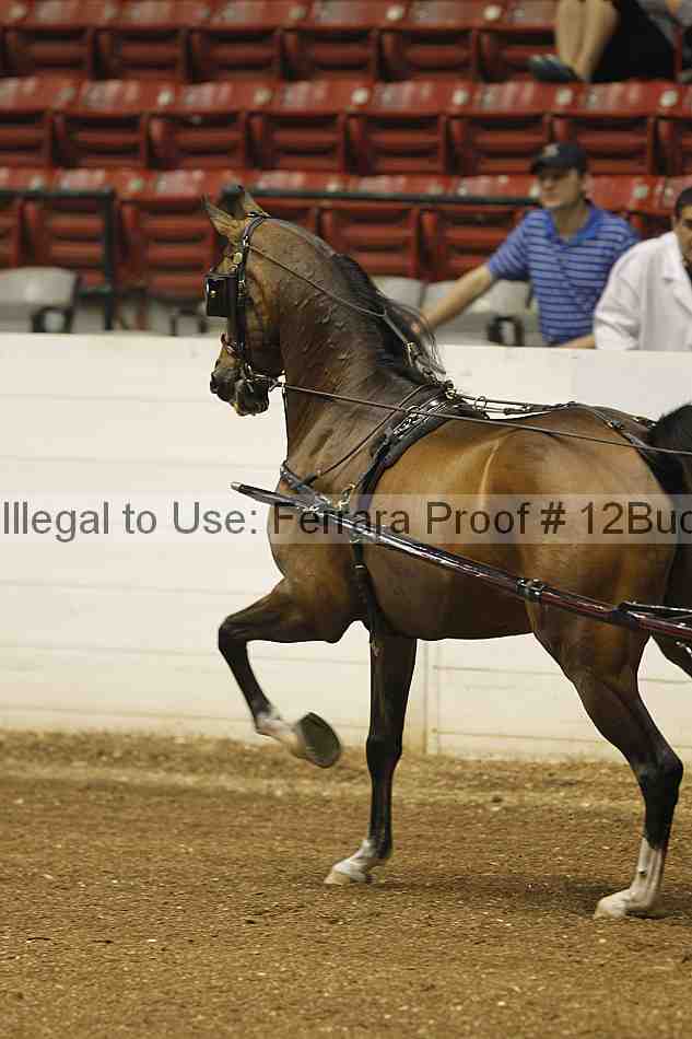 Proof 12buck_0015