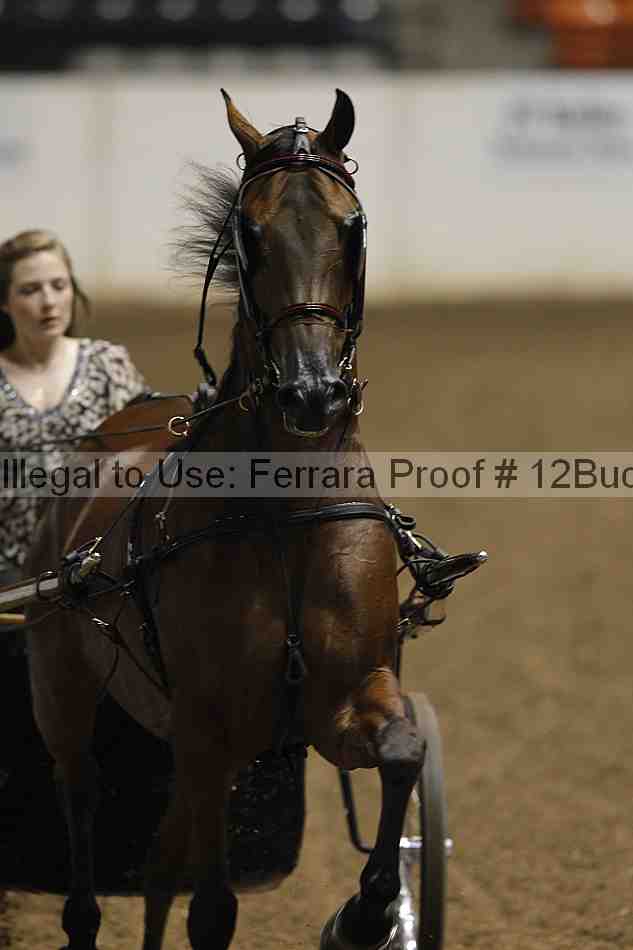 Proof 12buck_0020