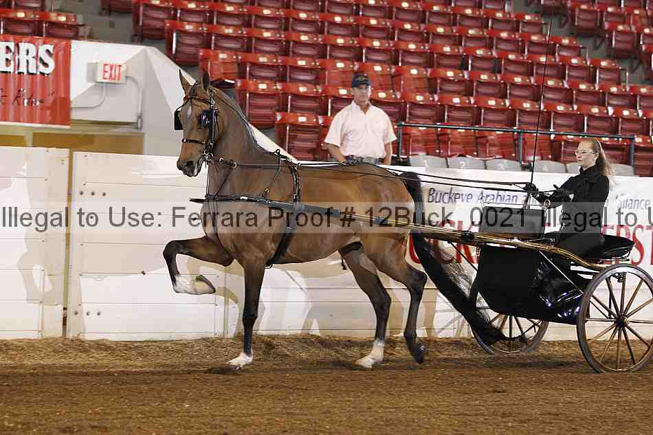 Proof 12buck_0021
