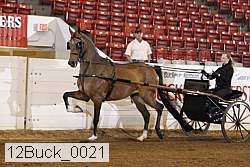 12buck_0021 proof