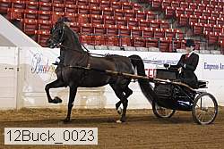 12buck_0023 proof