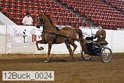 12buck_0024 proof