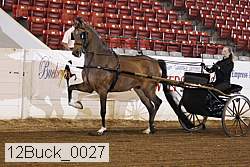 12buck_0027 proof