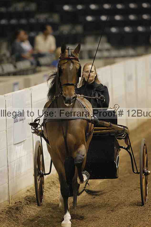 Proof 12buck_0028